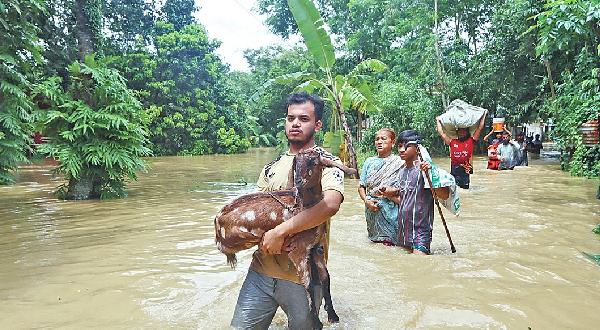 ৫ জেলার বন্যা পরিস্থিতি স্বাভাবিক, ফেনীসহ ৪ জেলায় উন্নতি