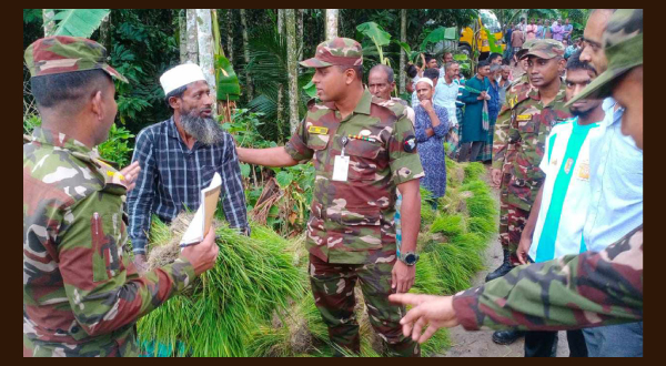 লক্ষ্মীপুরে বন্যায় ক্ষতিগ্রস্ত কৃষকদের ধানের চারা উপহার দিলো বাংলাদেশ সেনাবাহিনী